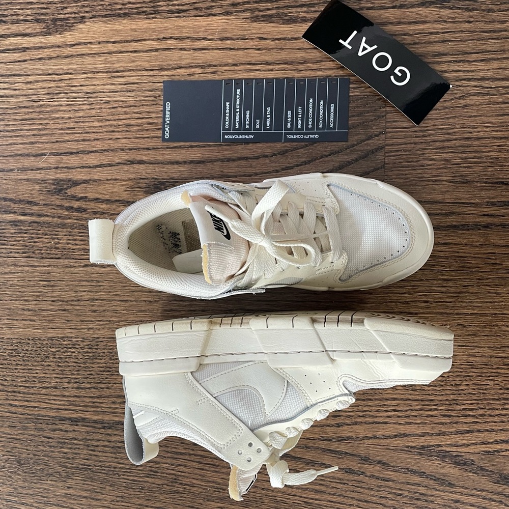 Nike Dunk Low Distrupt